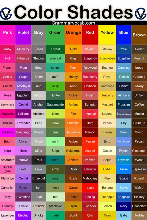 Color Palette Popular Colors Color Chart Patterns And Names Rgb Hex Html Vector Color Stock