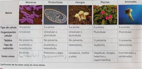 BiologÍa Y GeologÍa 1º Eso ClasificaciÓn De Los Seres Vivos