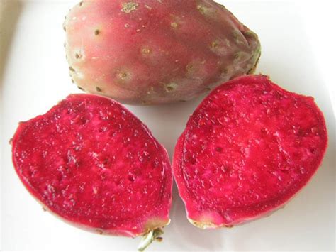 This intriguing cocktail was created at the fort restaurant in morrison, co, 17 miles southwest of denver. Prickly pear - Recipes Wiki