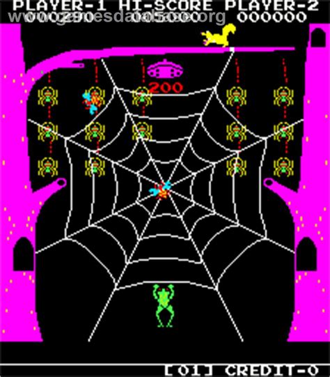 Frog And Spiders Arcade Games Database