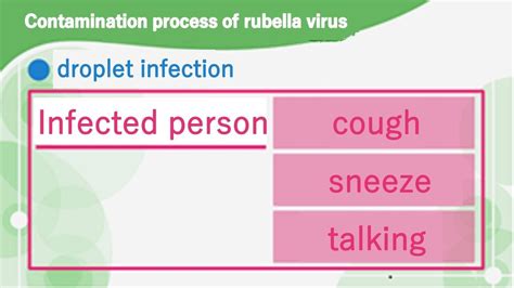 What Is Rubella Its Definition Symptoms Treatment Vaccination And