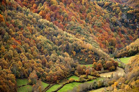 Muniellos El Bosque Asturiano Con Cita Previa