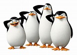 Los pingüinos de Madagascar, una serie de contrastes - Mis Animales