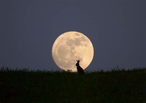 Moongazer Mondfotografie Wunderschöner Mond Schatten Fotografie