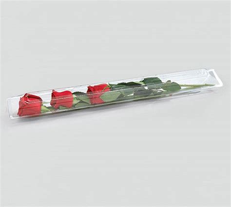 Check spelling or type a new query. SINGLE LONG STEMMED ROSE BOX