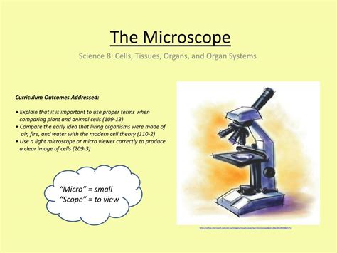 Ppt The Microscope Powerpoint Presentation Free Download Id2185863
