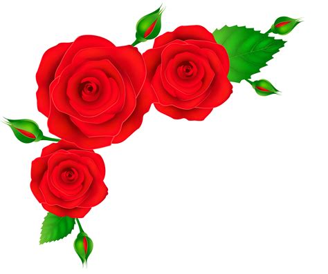 Red Roses Corner Transparent Png Clip Art Image Hand Painted Roses