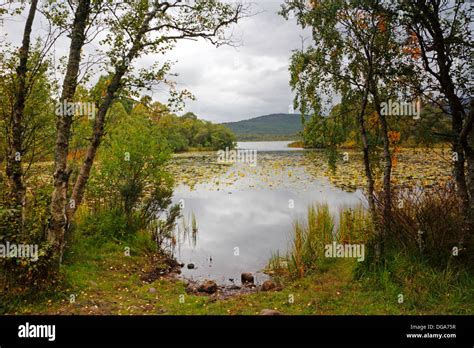 A View Of Loch Kinord On The Muir Of Dinnet National Nature Reserve