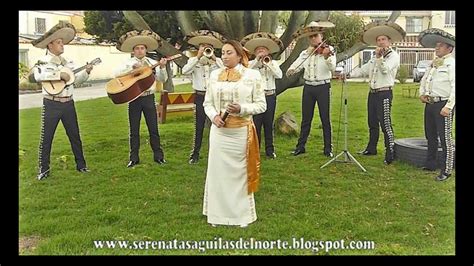 Serenatas Mariachis Bogota Youtube