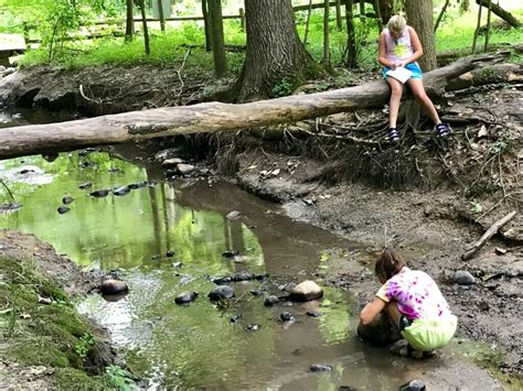 trout unlimited receives epa grant to expand stream girls trout unlimited