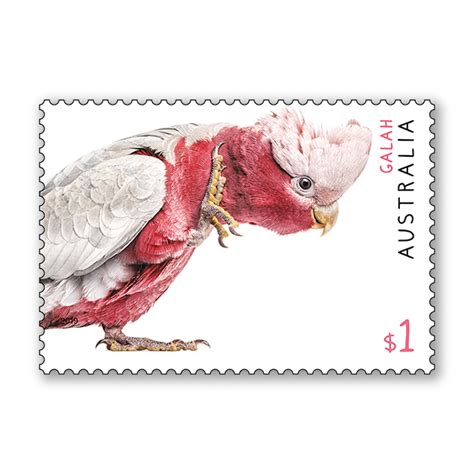 Australian Fauna stamp issue | Australian fauna, Old stamps, Australian icons