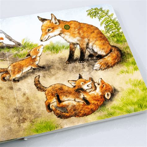 Kinderbuch Hör mal Im Wald DJV Jagd Shop Jagdausrüstung für