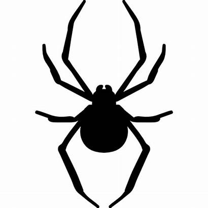 Spider Silhouette Animal Icon Icons Arthropod