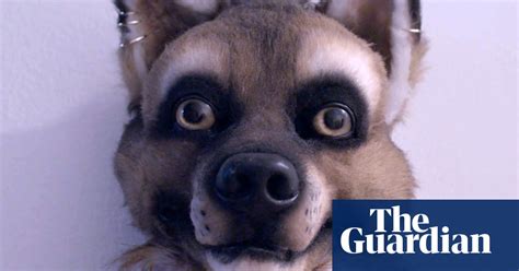 It S Not About Sex It S About Identity Why Furries Are Unique Among Fan Cultures Fashion