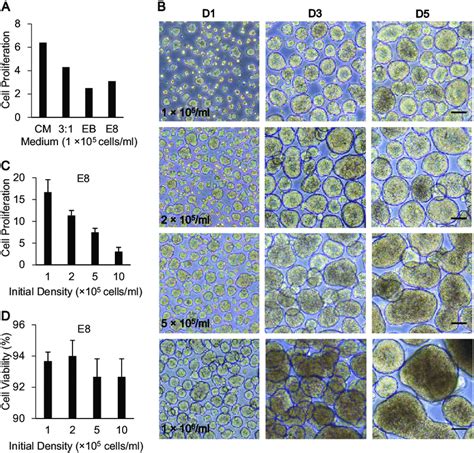 Optimization Of 3d Human Embryonic Stem Cell Hesc Suspension Culture