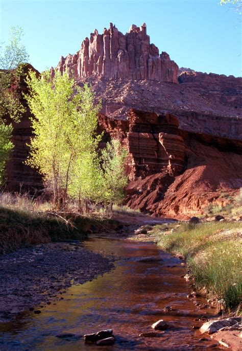 Capitol Reef National Park