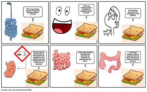 Digestive System Storyboard By Oliversmith Gambaran Riset