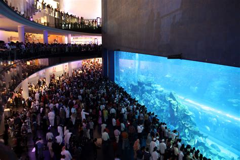10 Largest Aquariums In The World With Photos Touropia