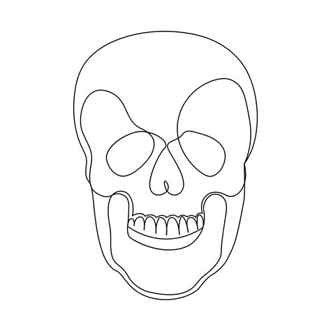 Premium Vector Continuous Skull Single Line Art Illustration Black
