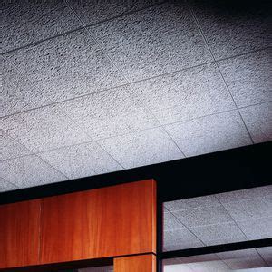 Your ceiling, hands and work surfaces should be clean, smooth and dry. Gypsum suspended ceiling - SHEETROCK® BRAND CLEAN ROOM ...