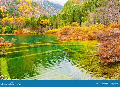 Jiuzhai Valley National Park Stock Image Image Of Environment