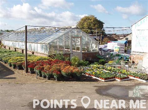 Work in the garden continue to water and fertilize hanging plants regularly since they dry out quickly now with the. PLANT NURSERY NEAR ME - Points Near Me
