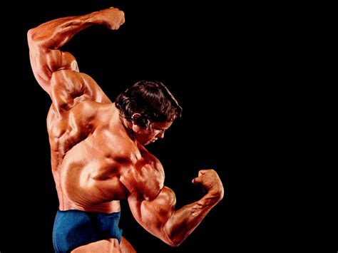Bodybuilding Wallpapers Arnold Schwarzenegger Wallpapers