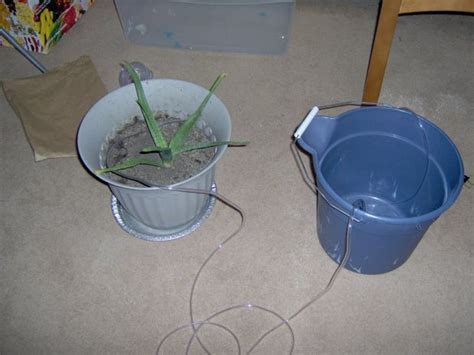 Cheap And Easy Automatic House Plant Watering System Plant Watering