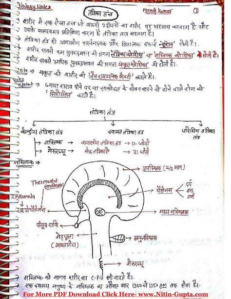 Mp Board Class Th Biology Handwritten Notes Hindi Medium Class