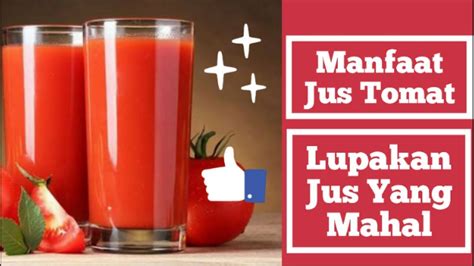 Sehingga dapat disimpulkan jus jambu biji 200 gr dan jus tomat 200 gr mempunyai kemampuan sebagai laksansia. Manfaat Jus Tomat Untuk Kesehatan - YouTube