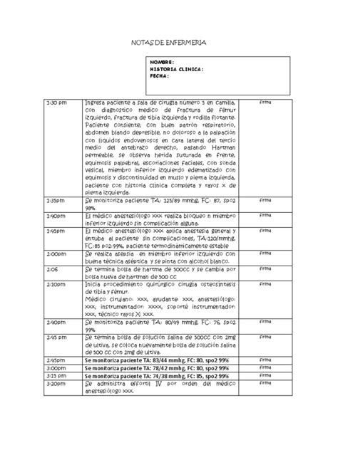 Ejemplos De Una Nota De Enfermeria