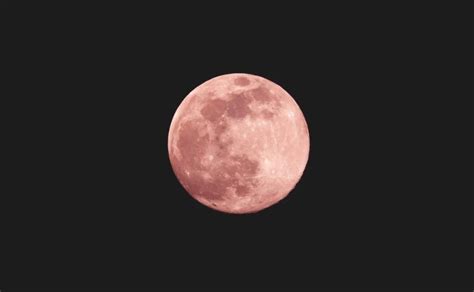 Superluna Rosa 2021 ¿por Qué Llamamos Así Esta Luna ¿cómo Y Dónde Verla La Prensa Gráfica