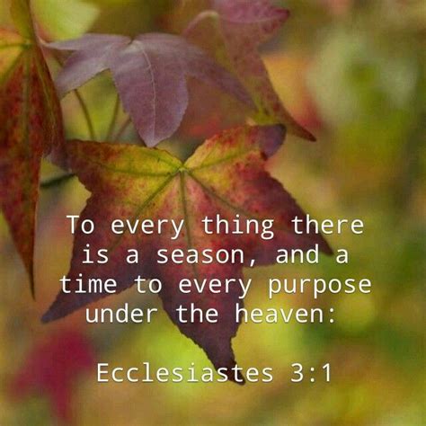 Ecclesiastes 31 Kjv To Every Thing There Is A Season And A Time To
