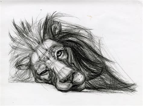 Candace Giancanelli: Animal Drawings