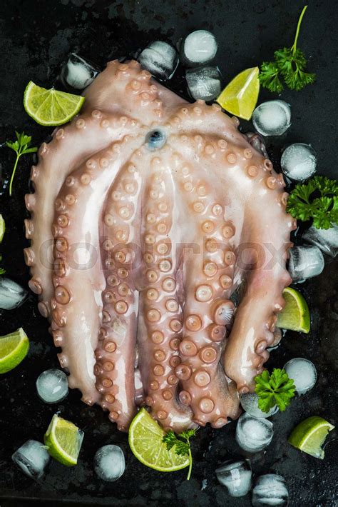 Whole Raw Octopus Seafood Stock Image Colourbox