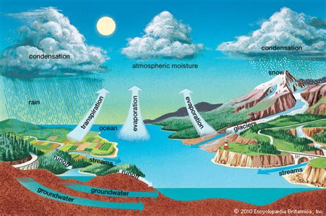 Several decades ago, humans thought about the idea of altering the weather and climate to their own advantage. water cycle -- Kids Encyclopedia | Children's Homework ...