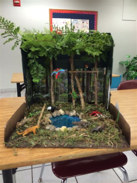 Rainforest Crafts, Rainforest Habitat, Rainforest Theme, Rainforest