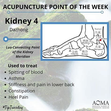 Tiptuesday Acupuncture Point Of The Week Kidney 4 📍