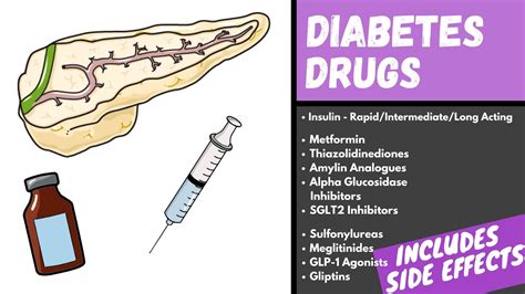 Diabetes Medication Explained Diabetes Drugs Mechanism Side Effects