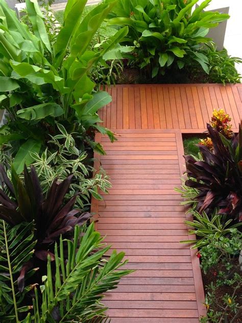 Cool simple front garden ideas australia in unique decor with 417 subscribed. Wakerley - Tropical - Landscape - brisbane - by Utopia ...