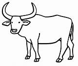 Carabao Pngkit Drawi Outlines Mammals Clipartmag Jing Pinpng Toppng Netclipart sketch template