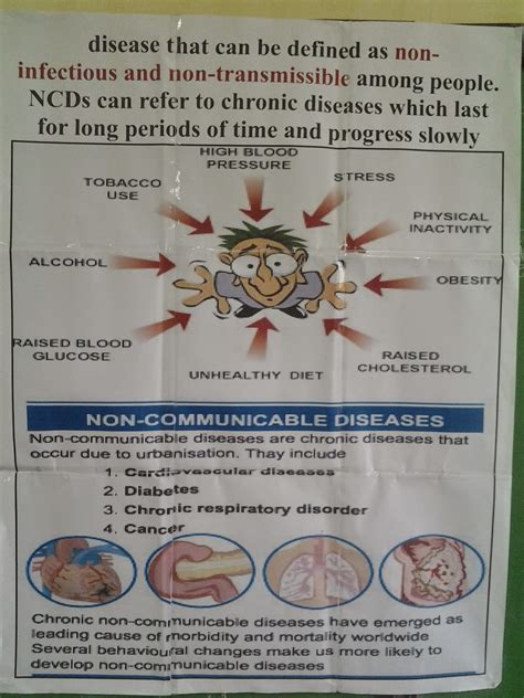 Grade 7 Health Non Communicable Diseases Overview