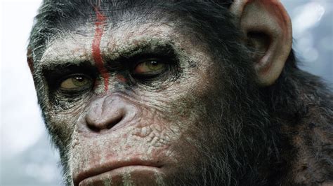Online Crop Black Gorilla Planet Of The Apes Movies Artwork