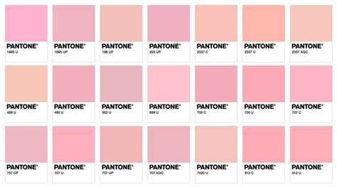 Millennial Pink Color Code The Adventures Of Lolo