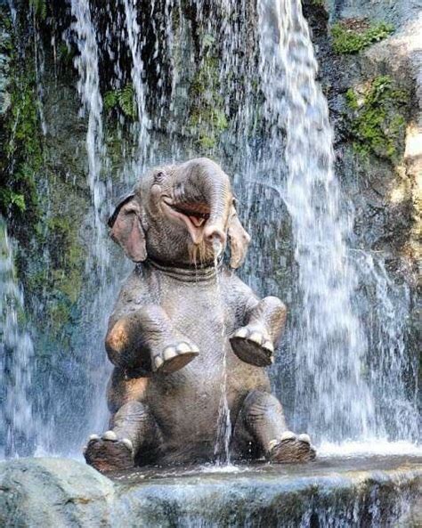 Disneys Jungle Cruise Cute Baby Elephant Animals Animals Wild