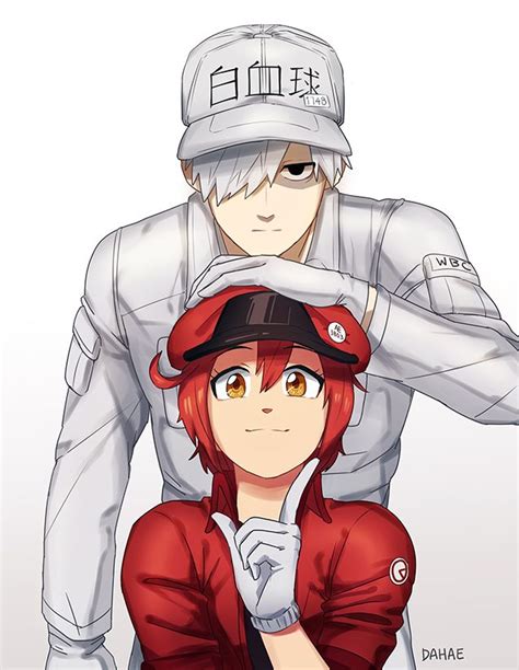 Cells At Work By Dahae1014 On Deviantart