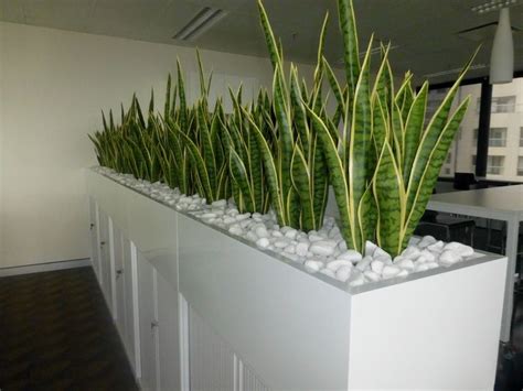 32 Office Plants Youll Want To Adopt Room With Plants Fake Walls