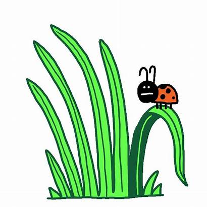 Grass Animated Clipart Transparent Lady Bug Sticker