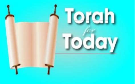 Torah For Today What Does The Torah Say About Self Defence Jewish