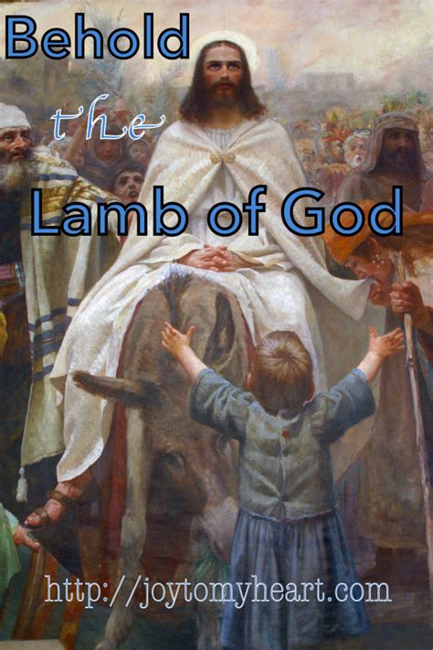Behold The Lamb Of God Pt 6 Joy To My Heart